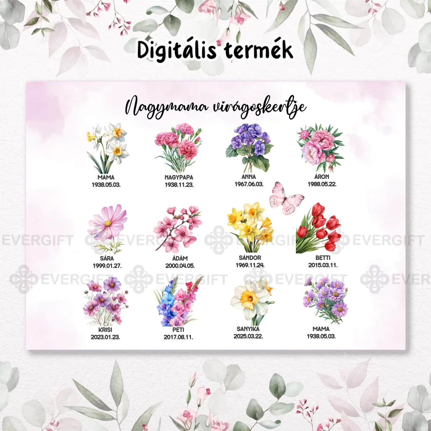 0_fekvő_digi