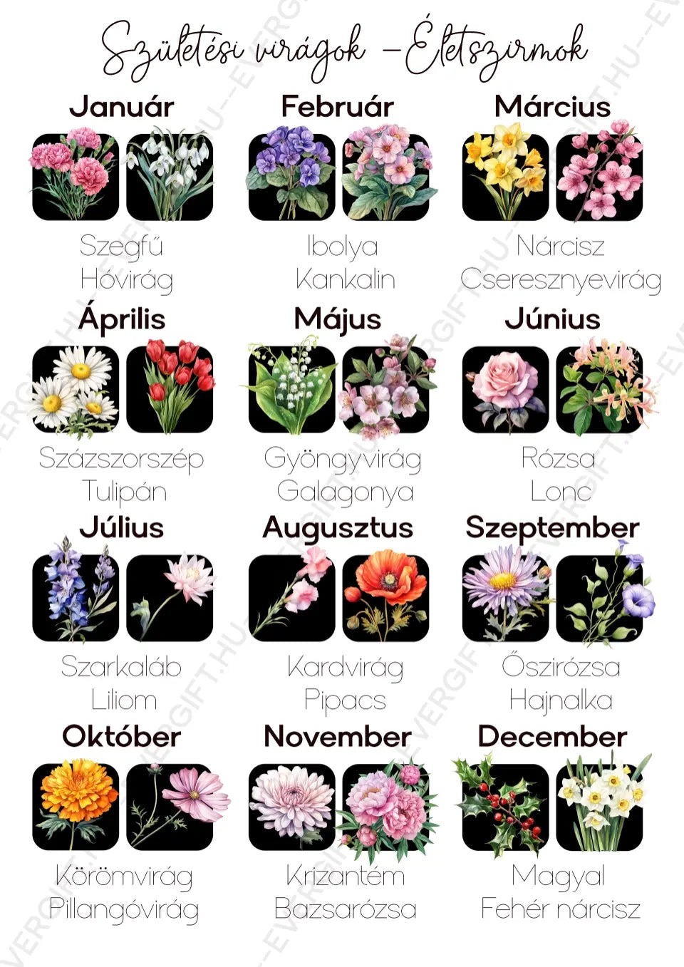 Családi virágcsokor (születési virágok) - akár 12 virággal személyre szabható